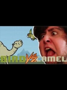 JonTron: Bird vs. Camel