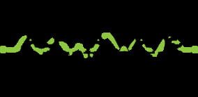 Alpha Wave Entertainment