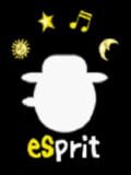 Esprit Software Programs