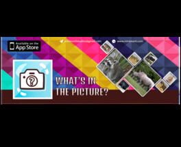 What’s in the Picture: Animals